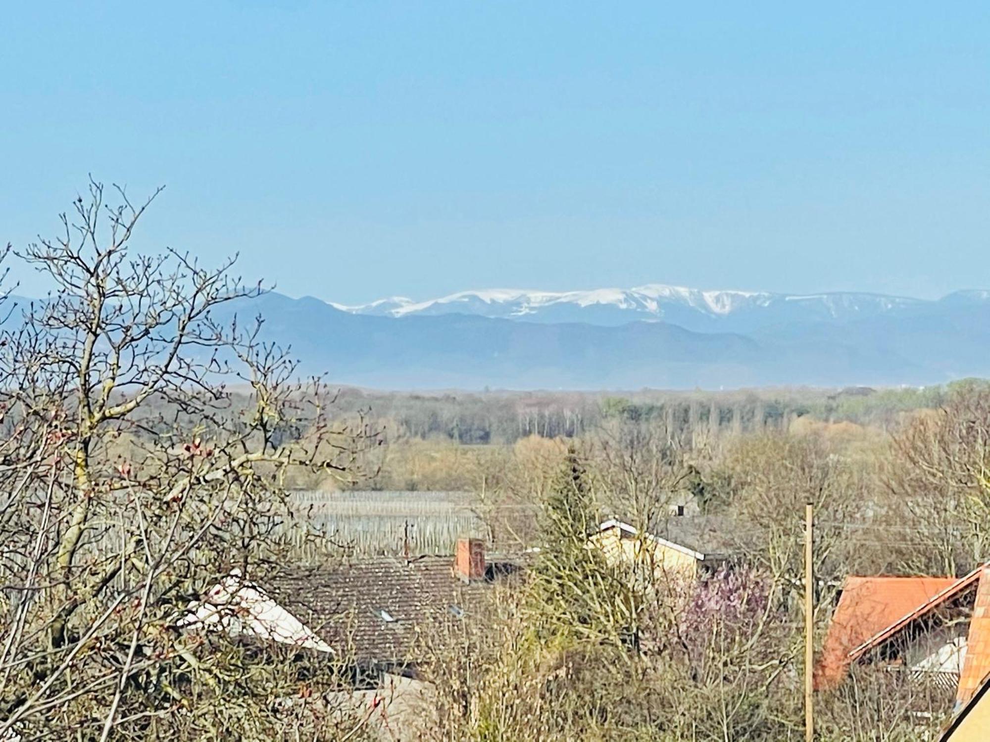 Lp Haus Der Guten Dinge Vogtsburg Bagian luar foto